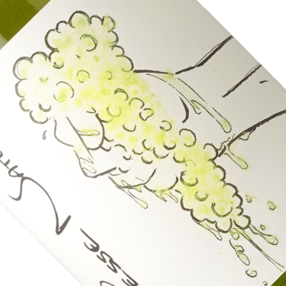 ドメーヌ・バサック / プレス・ナチュール・ブラン [2024]