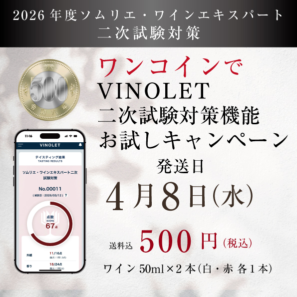【完売御礼】【2026年度】ワンコイン VINOLET二次試験対策機能 お試しキャンペーン