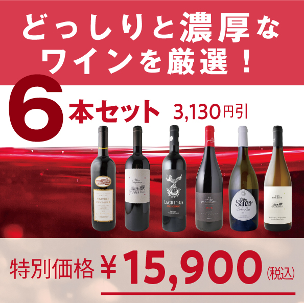 どっしりと濃厚なワインを厳選！【6本セット：赤4/白2】