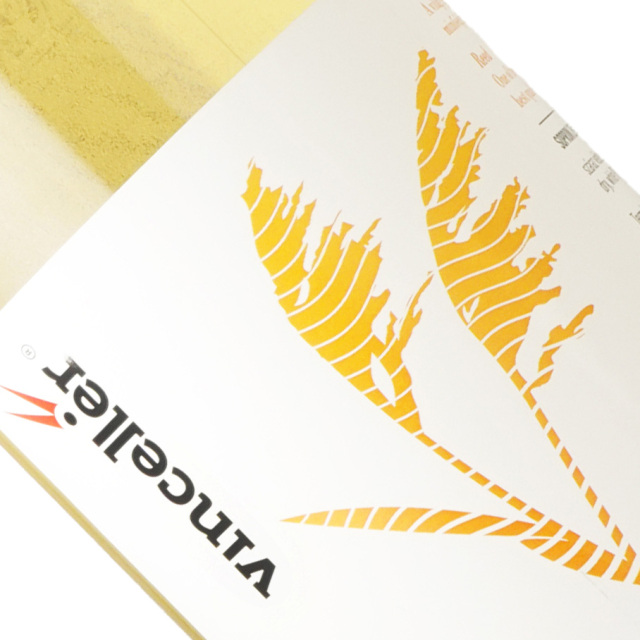 ヴィンツェレール / ゼニット [2023]