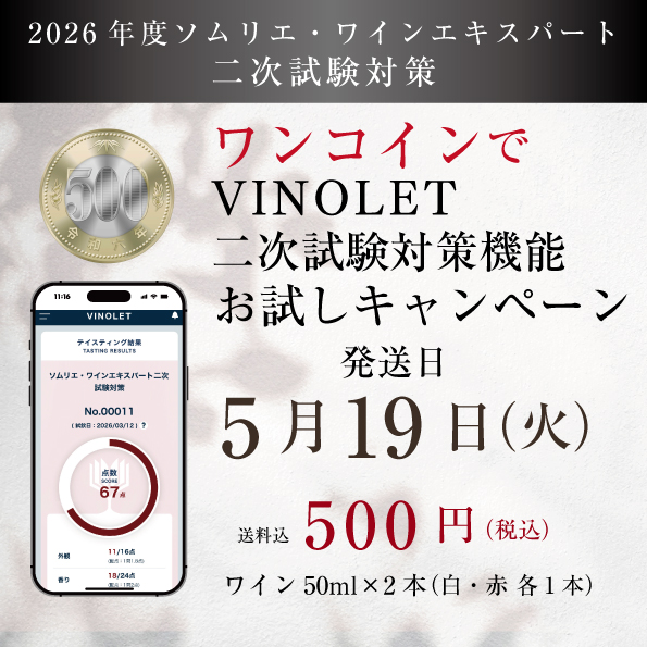 【限定再販決定】【2026年度】ワンコイン VINOLET二次試験対策機能 お試しキャンペーン