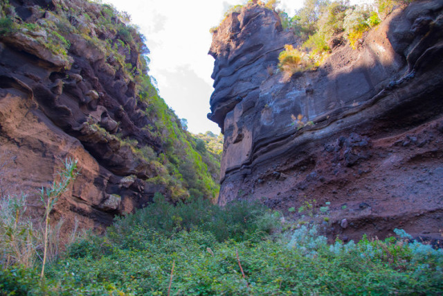 むき出しになった火山性の地層