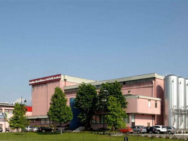 モンテリアーナ社の外観