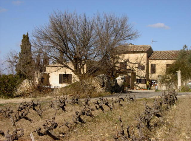 畑から望むワイナリー