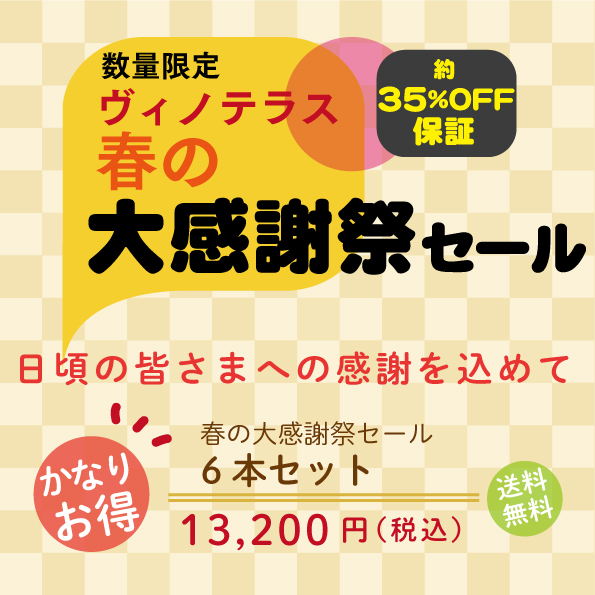 ヴィノテラス春の大感謝祭セール6本セット
