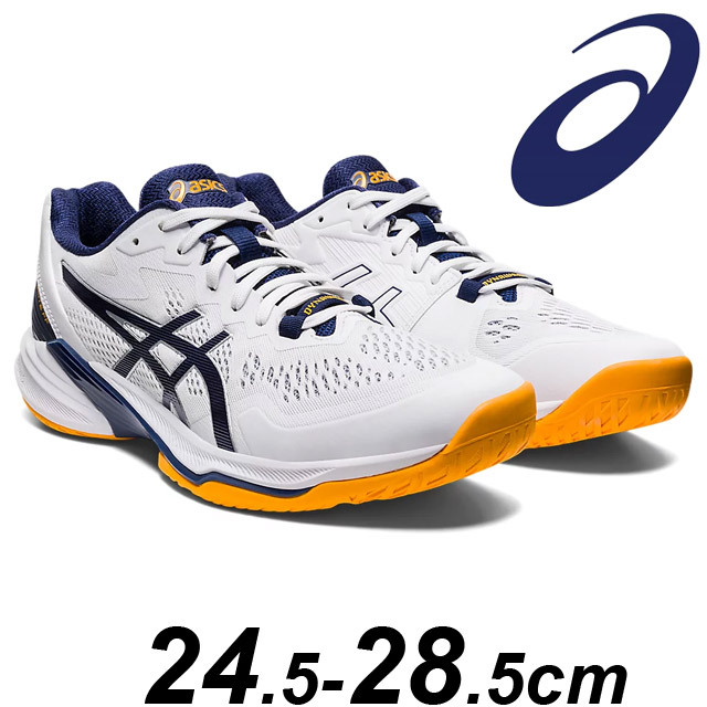 新作バレーボールシューズ（アシックス・ミズノ・デサント） [バレーボール用品の通販サイト★バレーボールアシスト★]