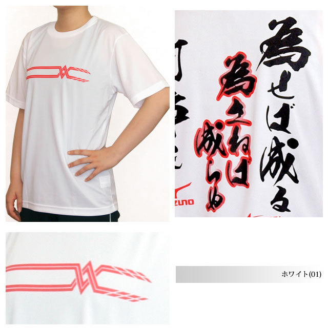MIZUNO ミズノ バレーボール　全日本　JAPAN Tシャツ　練習着 MIZUNO ミズノ メンズ レディス バレーボール 半袖Tシャツ 応援T