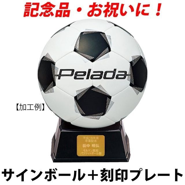 【名入れ】モルテン(molten) サインボール サッカーボール「ペレーダ」＋プレート [F2K500-KOKUIN] 寄せ書き 記念品