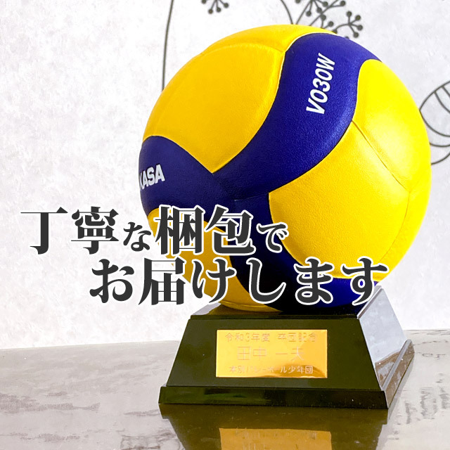 名入れ】ミカサ(MIKASA) バレーボール 記念品用マスコット＋