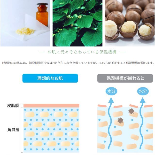 送料無料】ヒノキ肌粧品(HINOKI) 化粧水 REターンローション(薬用肌粧