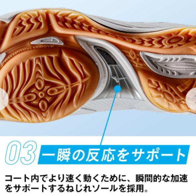 Mizuno Fly ミズノ フライ バレーボールシューズ 28.0 ブラック Mizuno Fly ミズノ フライ バレーボールシューズ 28.0 ブラック
