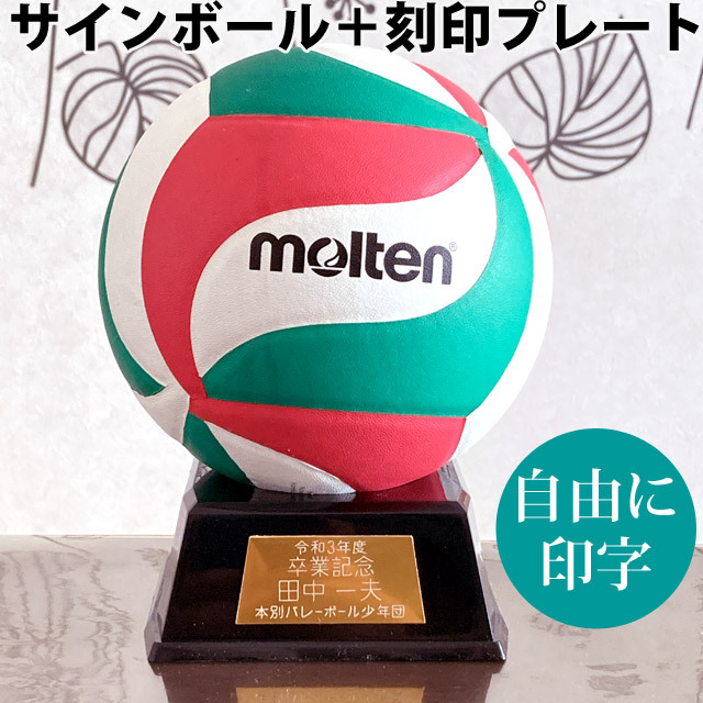 【名入れ】モルテン(molten) カラーサインボール＋プレート [V1M500-KOKUIN] 寄せ書き 記念品