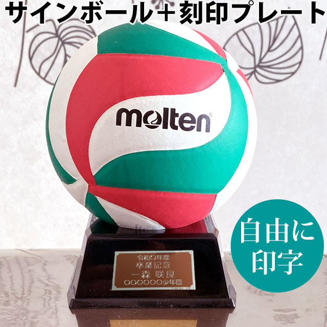 【名入れ】モルテン(molten) カラーサインボール＋プレート [V1M500-KOKUIN06] 寄せ書き 記念品