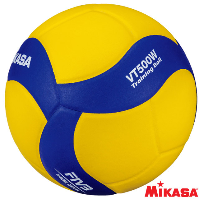 ミカサ(MIKASA) 重いバレーボール トレーニング5号球 500g [VT500W] トレーニングボール