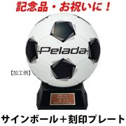 【名入れ】モルテン(molten) サインボール サッカーボール「ペレーダ」＋プレート [F2K500-KOKUIN06] 寄せ書き 記念品