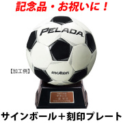 【名入れ】モルテン(molten) サッカーサインボール＋プレート [F2L500-KOKUIN] 寄せ書き 記念品