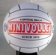 ミニバレー/ボール【ミニバレー協会公認球】【お得な10個セット】MINI-VB-10SET【即日出荷】