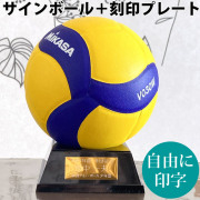 【名入れ】ミカサ(MIKASA) バレーボール 記念品用マスコット＋プレート [V030W-KOKUIN] サインボール 寄せ書き 記念品