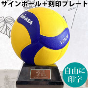 【名入れ】ミカサ(MIKASA) バレーボール 記念品用マスコット＋プレート [V030W-KOKUIN06] サインボール 寄せ書き 記念品
