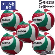 【送料無料】モルテン(molten) バレーボール5号球 検定球 5個セット(チーム名あり) [V5M5000-5-N] 代引き不可 沖縄県・離島は別途送料（税込み1800円）