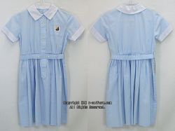 清泉小学校（盛夏）