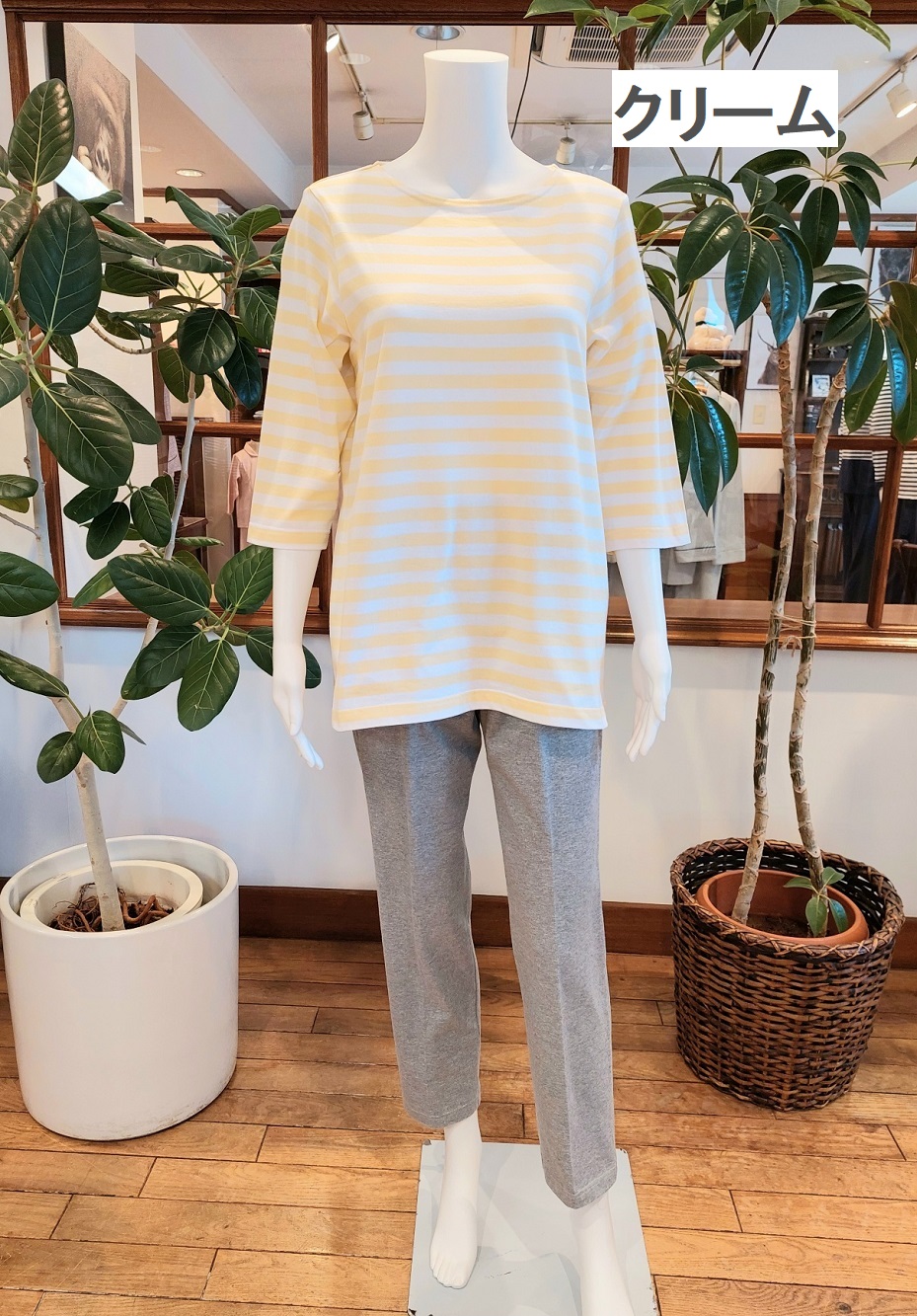 天竺太ボーダー×無地（七分袖）