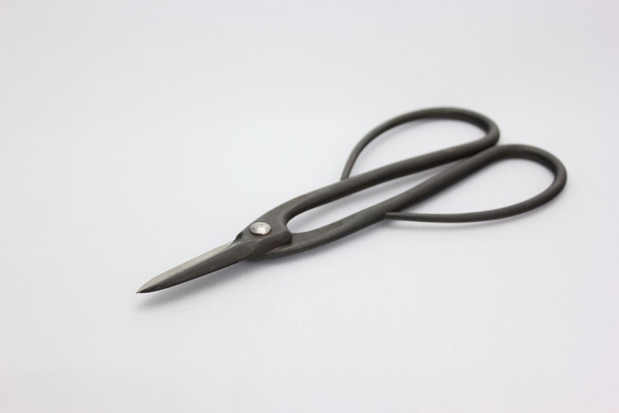 剪定鋏,盆栽鋏,盆栽道具,昌国,黒磨長柄剪定鋏