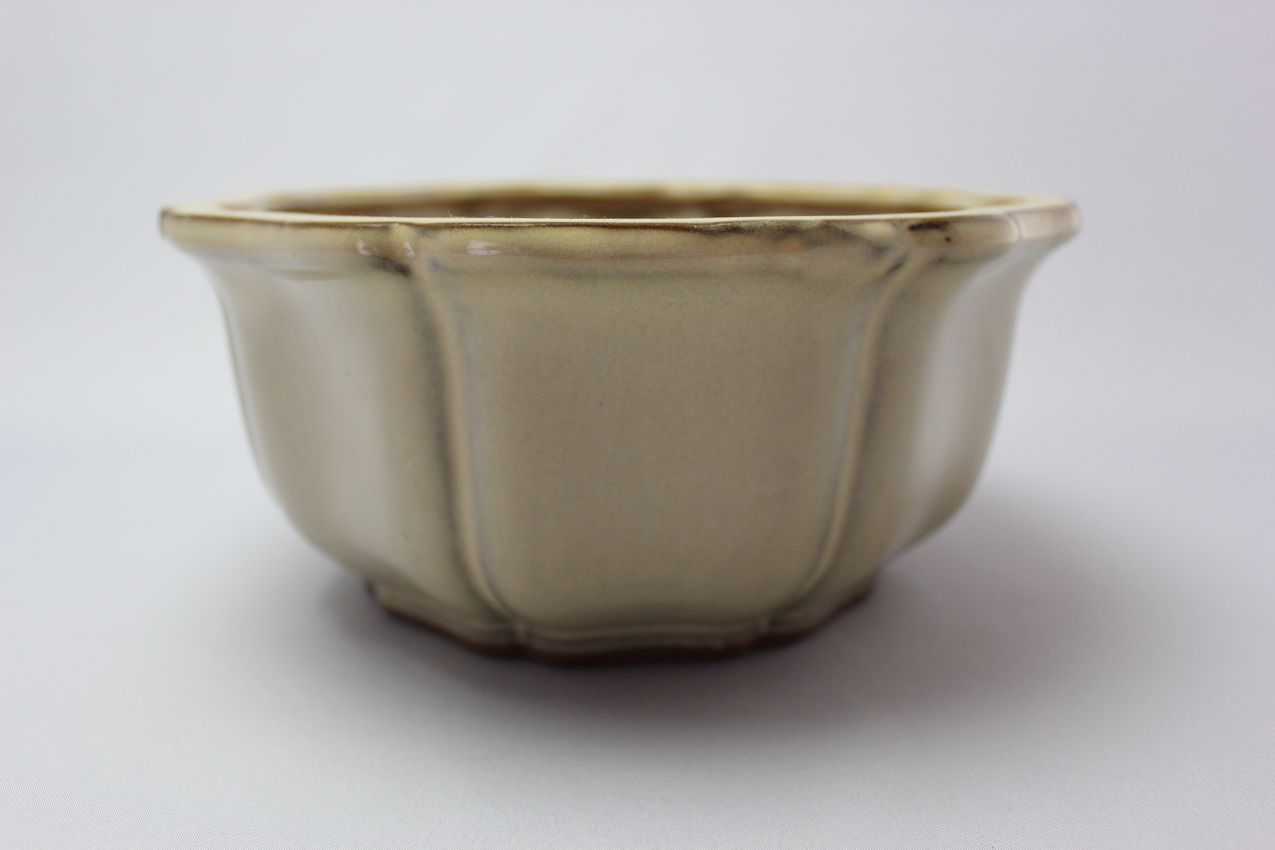 輪花外縁,クリーム,6号,中国鉢,植木鉢