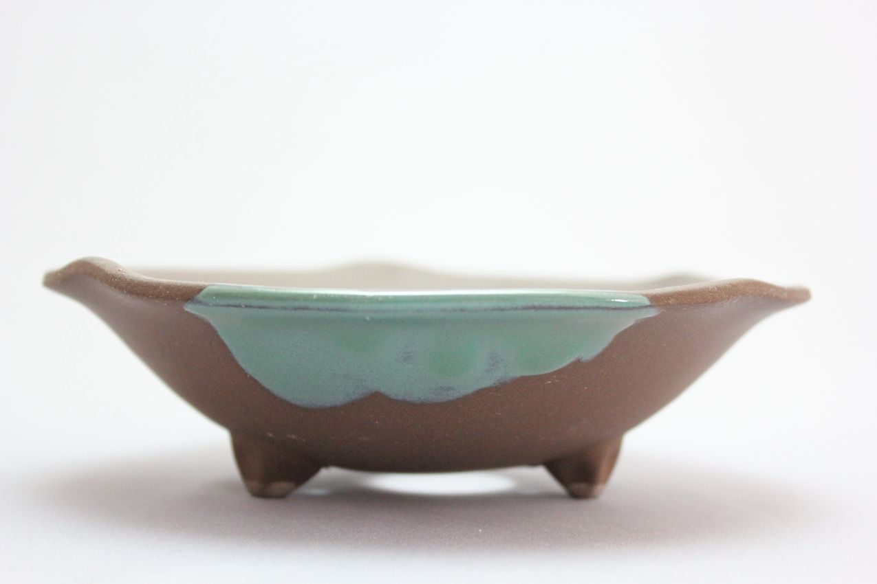 ウデ浅丸山草,5号,信楽焼,植木鉢,盆栽鉢