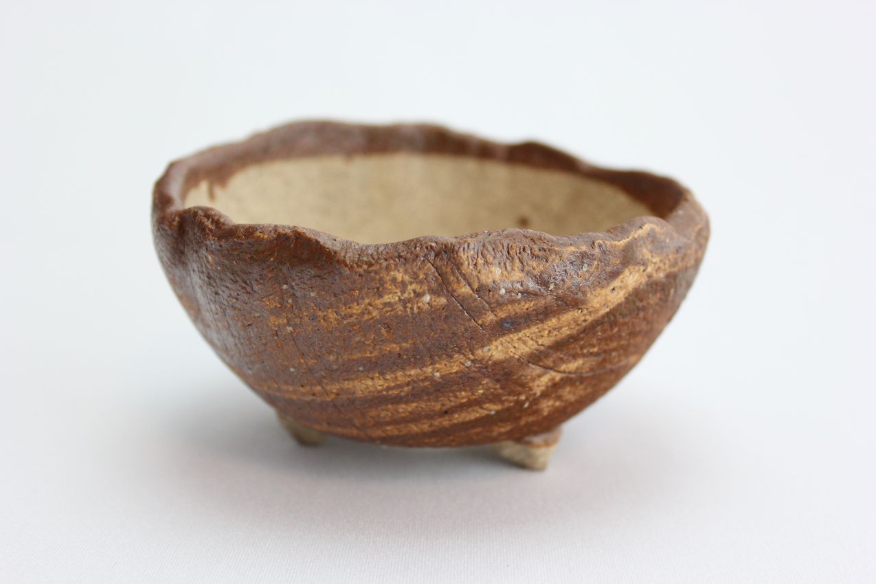 茶中浅ちぎり丸,3号,信楽焼,植木鉢,盆栽鉢