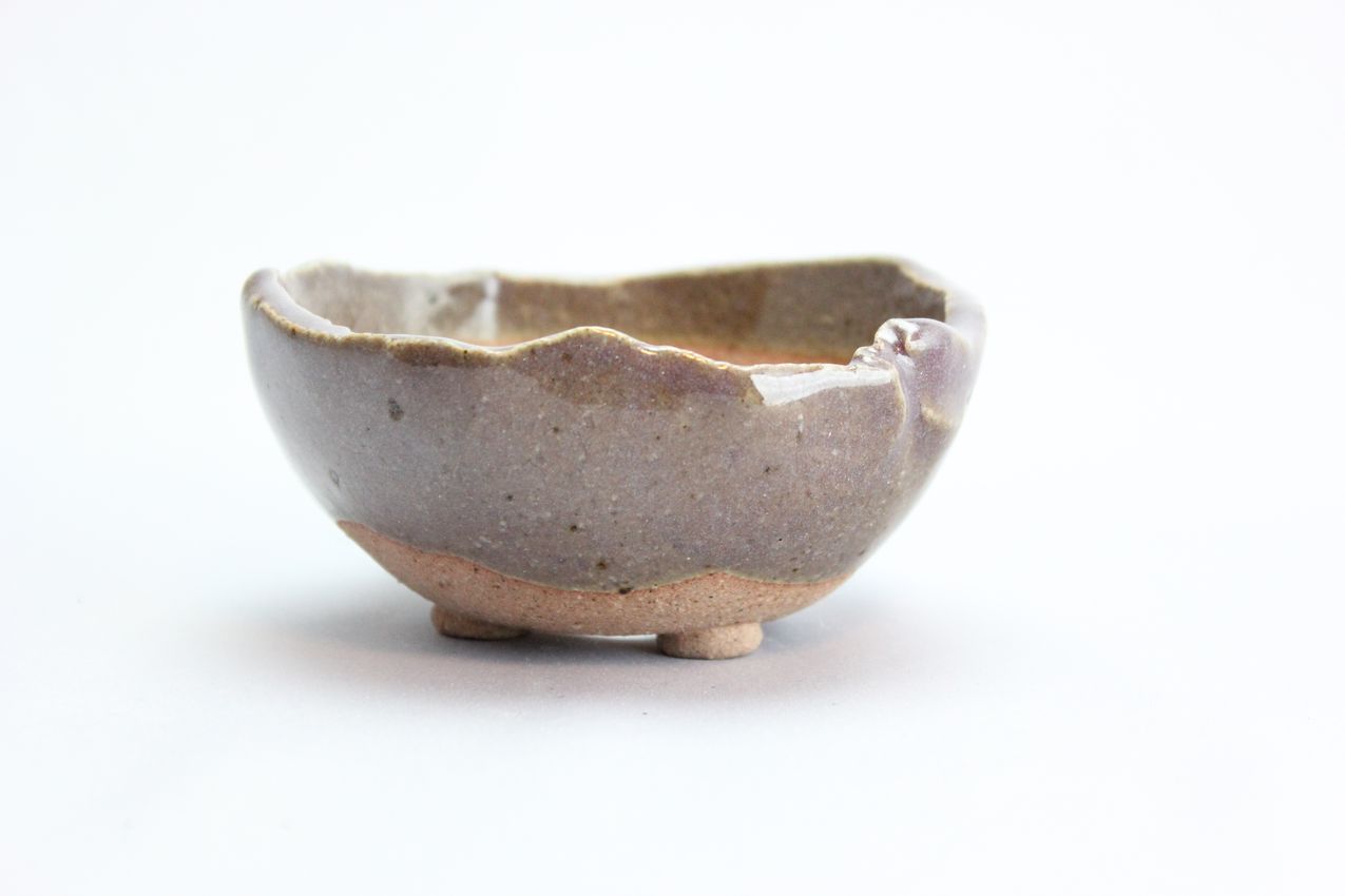 万作紫中浅丸,3号,信楽焼,植木鉢,盆栽鉢