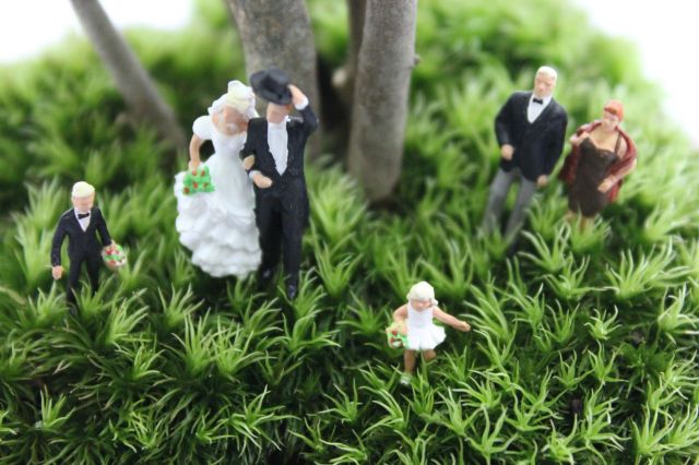 苔ぼん 白モッコ