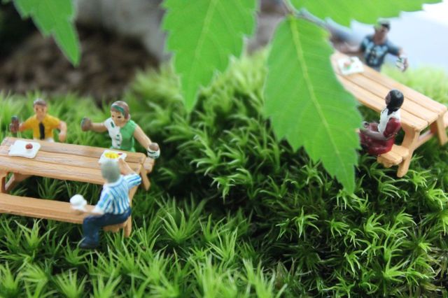 マン盆栽,盆栽ジオラマ,盆栽フィギュア,ミニ盆栽,苔玉