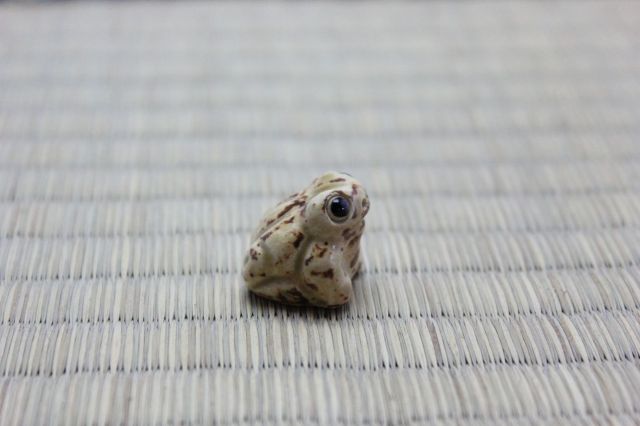 マン盆栽,盆栽ジオラマ,盆栽フィギュア,ミニ盆栽,苔玉