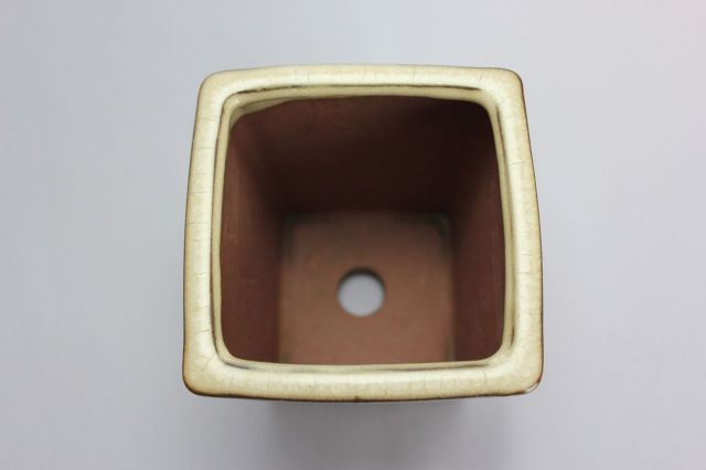 正方切立深クリーム,3号,中国鉢,植木鉢,盆栽鉢