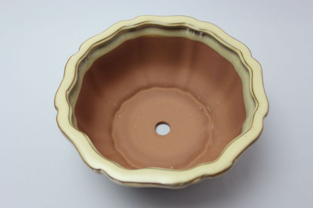 輪花外縁,クリーム,6号,中国鉢,植木鉢