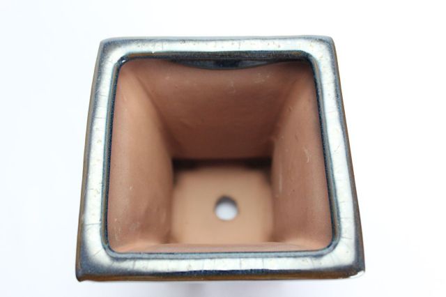 正方反型額入,生子,3.5号,中国鉢,植木鉢