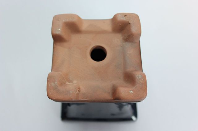 正方反型額入,生子,3.5号,中国鉢,植木鉢