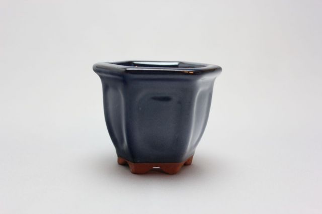 六方外縁額入,生子,2号,中国鉢,植木鉢