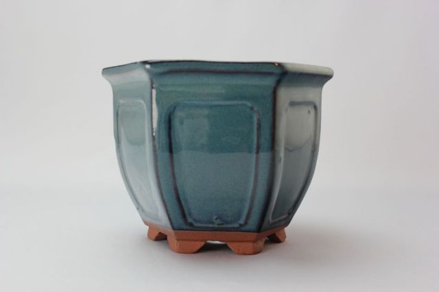 六方外縁額入,生子,中国鉢,植木鉢,盆栽鉢