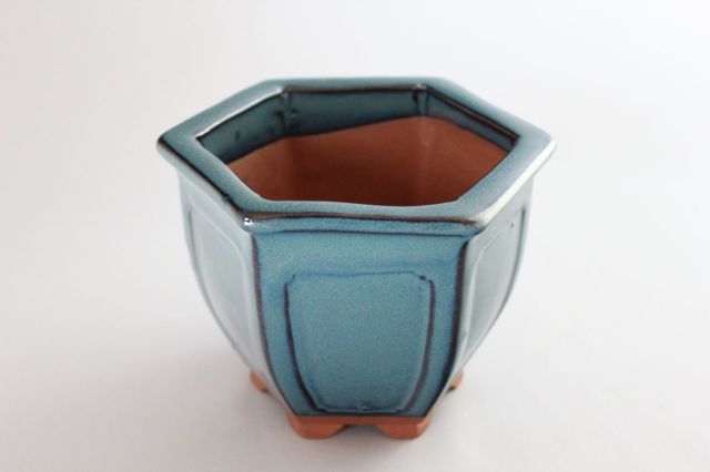 六方外縁額入,生子,中国鉢,植木鉢,盆栽鉢