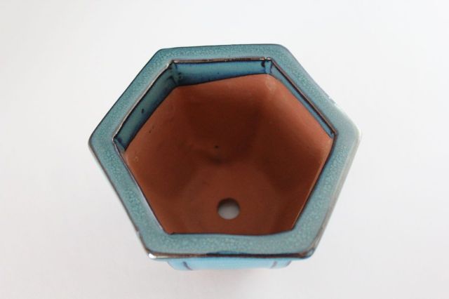 六方外縁額入,生子,中国鉢,植木鉢,盆栽鉢