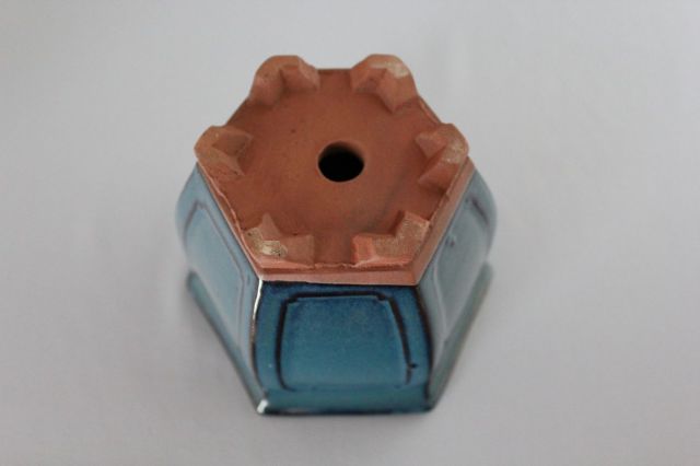 六方外縁額入,生子,中国鉢,植木鉢,盆栽鉢