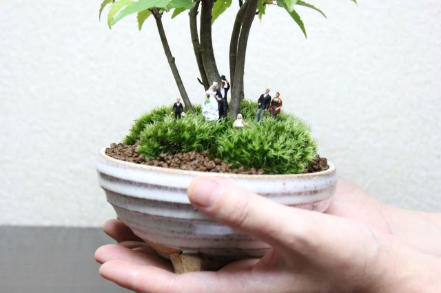 マン盆栽,盆栽ジオラマ,盆栽フィギュア,ミニ盆栽,苔玉