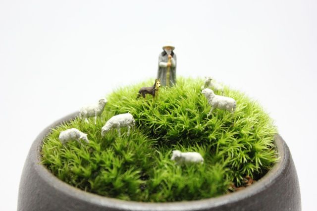 植木鉢　フィギュア　ジオラマ サボテンジオラマ フィギュア2個付き【別送品】(販売終了) | 花