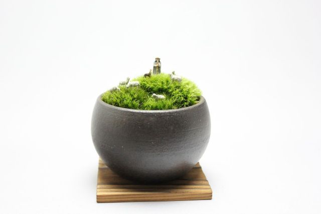 マン盆栽,盆栽ジオラマ,盆栽フィギュア,ミニ盆栽,苔玉