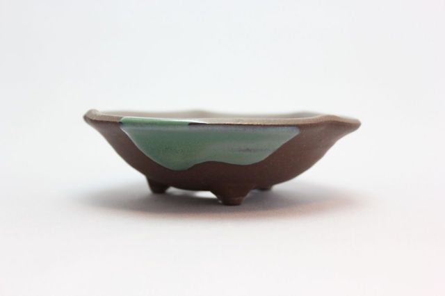ウデ浅丸山草,3.5号,信楽焼,植木鉢,盆栽鉢