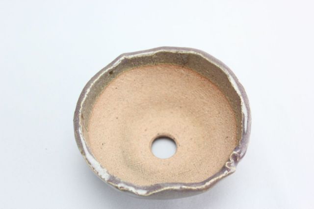 万作紫中浅丸,3号,信楽焼,植木鉢,盆栽鉢