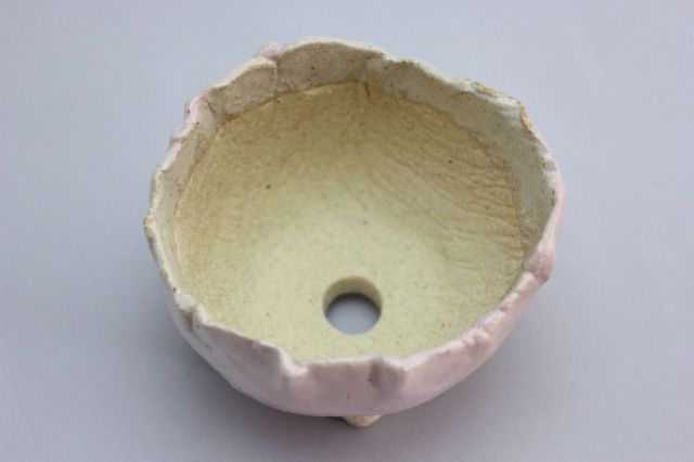万作桃つぼみ型,3号,信楽焼,植木鉢,盆栽鉢