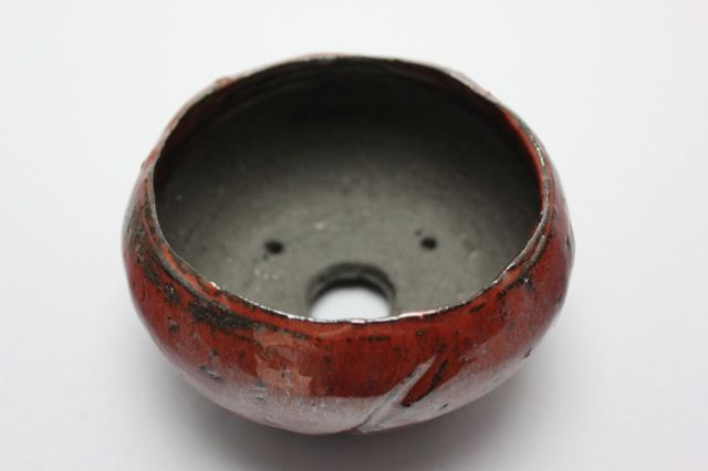 和田桂子作,マーズ・ファイヤーソウル,4号,ミニ盆栽,植木鉢